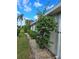 Landscaped side yard with a variety of plants and shrubs at 2421 E Del Webb Blvd, Sun City Center, FL 33573