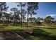 Park-like setting with a bench under the trees at 2582 Bentley Dr, Palm Harbor, FL 34684