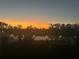 Evening sunset view over the backyard pond at 16910 Trite Bend St, Wimauma, FL 33598