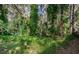 Lush backyard with mature trees and vegetation at 943 Lucas Ln, Oldsmar, FL 34677