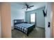 Cozy bedroom with carpeted floor, a bed, and window with curtains at 11834 Brighton Knoll Loop, Riverview, FL 33579