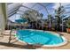 Inviting screened-in pool with lounge chairs at 8622 Thimbleberry Ln, Tampa, FL 33635