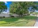 Landscaped front yard with lush green grass, mature trees, and a white fence at 3401 W North B St, Tampa, FL 33609