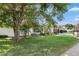 Beautiful home exterior with lush lawn and mature tree at 3401 W North B St, Tampa, FL 33609