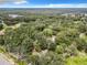Aerial view of a property with lush green vegetation and a house partially visible at 16206 Boyette Rd, Riverview, FL 33579