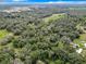 Aerial view highlighting a large lot densely wooded with trees at 16206 Boyette Rd, Riverview, FL 33579