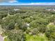 Aerial view showing a wooded lot near a road and other houses at 16206 Boyette Rd, Riverview, FL 33579