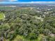 Aerial view showcasing a spacious lot abundant with lush greenery at 16206 Boyette Rd, Riverview, FL 33579