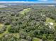 Aerial view showing a sizable lot with mature trees and a tranquil setting at 16206 Boyette Rd, Riverview, FL 33579