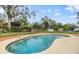 Kidney shaped swimming pool with wooden deck at 209 Orange Dr, Lutz, FL 33548