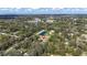 Aerial view showcases a house surrounded by mature trees, and a pond at 2501 Rustic Oaks Dr, Lutz, FL 33559
