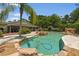 Landscaped backyard featuring a large in-ground pool and lush tropical foliage at 2501 Rustic Oaks Dr, Lutz, FL 33559