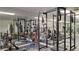 Fitness center featuring weight machines and free weights at 3020 Bonaventure Cir # 102, Palm Harbor, FL 34684