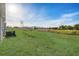 Large grassy backyard with plenty of space at 18027 Turning Leaf Cir, Land O Lakes, FL 34638