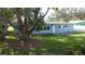 Back of house with mature tree and grassy area at 1042 Idlewild N Dr, Dunedin, FL 34698