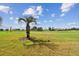 Serene view of a golf course with palm trees at 13141 Palmilla Cir, Dade City, FL 33525