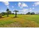 Expansive view of a lush green golf course at 13141 Palmilla Cir, Dade City, FL 33525