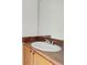 Bathroom with vanity, single sink, and mirrored medicine cabinet at 30619 White Bird Ave, Wesley Chapel, FL 33543