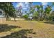 Large backyard featuring mature trees and a partially visible single-story home at 3414 Lindsey St, Dover, FL 33527