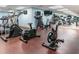 Well-equipped fitness center with various cardio and strength training machines at 345 Bayshore Blvd # 808, Tampa, FL 33606