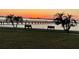 Serene waterfront view with benches and palm trees at sunset at 632 Edgewater Dr # 532, Dunedin, FL 34698