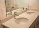 Double vanity bathroom with modern fixtures and a spacious countertop at 25434 Colon Dr, Punta Gorda, FL 33983