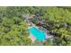 Community pool surrounded by lush greenery at 2939 Yucca Ct, Palm Harbor, FL 34684