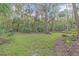 Spacious backyard with lush greenery and natural beauty at 4907 Londonderry Dr, Tampa, FL 33647