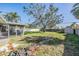 Large backyard with mature tree and shed at 4311 Huntington Ne St, St Petersburg, FL 33703