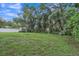 Large backyard perfect for outdoor activities at 12905 N Oregon Ave, Tampa, FL 33612