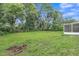 Expansive grassy backyard with mature trees at 12905 N Oregon Ave, Tampa, FL 33612
