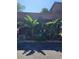Tropical landscaping with large banana plants at 4632 Red Maple Rd # 1204, Bradenton, FL 34210