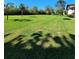 Expansive green lawn with palm trees at 4632 Red Maple Rd # 1204, Bradenton, FL 34210