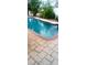 Relaxing rectangular swimming pool at 552 Trade Winds Dr, Dunedin, FL 34698