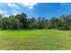 Spacious backyard with lush green grass and tropical vegetation at 397 Doniphan Dr, Port Charlotte, FL 33954