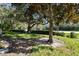 Landscaped backyard with mature trees and lush lawn at 1687 Starling Drive, Tarpon Springs, FL 34689