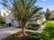 Tan house with attached garage and manicured landscaping at 1687 Starling Drive, Tarpon Springs, FL 34689
