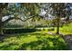 Green backyard with large oak trees and pond view at 1687 Starling Drive, Tarpon Springs, FL 34689