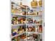 Well-organized pantry with ample shelving for storage at 15410 Miller Creek Dr, Ruskin, FL 33573
