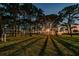 Scenic park with tall pines and sunset views at 2700 Bayshore Blvd # 4304, Dunedin, FL 34698