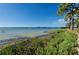 Peaceful waterfront pathway with lush greenery and calm water at 2700 Bayshore Blvd # 4304, Dunedin, FL 34698