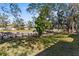 Backyard view with lush green grass and trees at 7075 Lafayette N, Pinellas Park, FL 33781