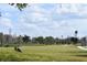 Picturesque golf course scene with a golf bag in view, showcasing the lush green landscape and serene water features at 446 Rotary Ne Pl, St Petersburg, FL 33703