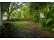Large, grassy backyard with plenty of space at 637 Jamaica Ave, Tampa, FL 33606