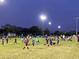 Active community soccer field with children playing and stadium lighting at dusk at 741 58Th Ne Ave, St Petersburg, FL 33703