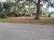 View of the front yard with large shade tree at 1182 Norwood Ave, Clearwater, FL 33756