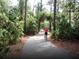 Scenic paved trail ideal for biking through lush greenery at 4799 Klosterman Oaks Blvd, Palm Harbor, FL 34683