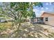 Spacious backyard with screened patio and large shade tree at 503 Avocado Cir, Brandon, FL 33510