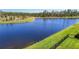 Serene lake view, featuring a verdant grassy shoreline and tall trees at 3901 Tour Trce, Land O Lakes, FL 34638