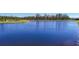 Scenic pond view with lush green surroundings and trees offers a tranquil natural setting at 3901 Tour Trce, Land O Lakes, FL 34638